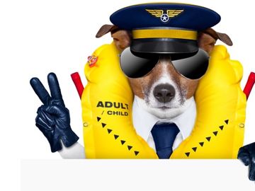  alt="Air Canada bashed in social media for email mocking US media after missing dog saga"  title="Air Canada bashed in social media for email mocking US media after missing dog saga" 